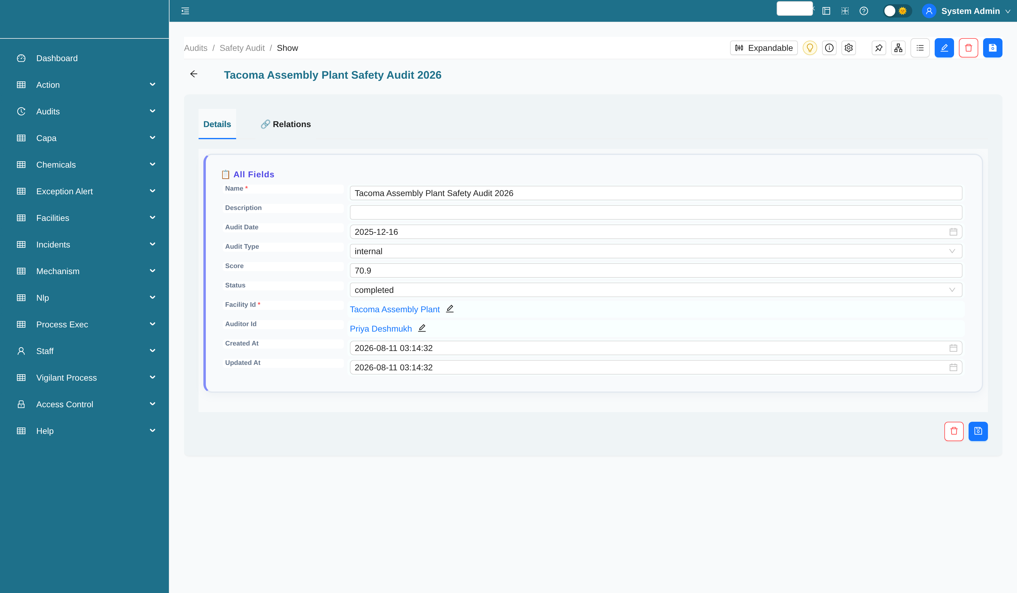 Safety audit record with related findings